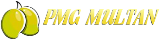 PMG MULTAN